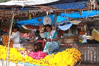 bloemenmarkt