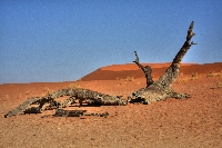 SOSSUSVLEI